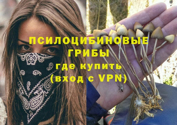 круглые Абаза