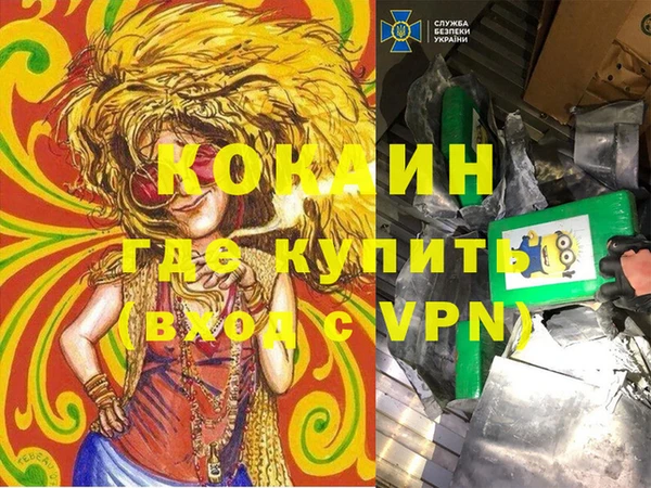 стаф Алзамай