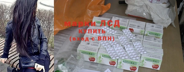 стаф Алзамай