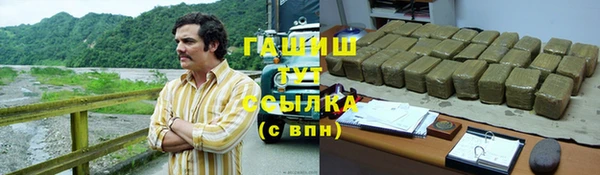 стаф Алзамай