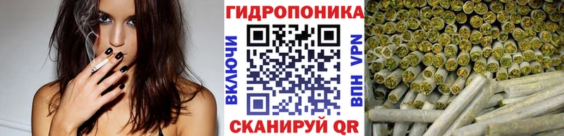 купить наркоту  ОМГ ОМГ tor  МАРИХУАНА планчик  Королёв 